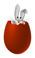 Silhouette of a broken brown egg with a rabbit inside and fifty percent png