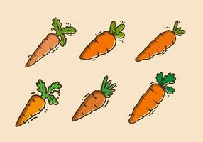 Illustration design of orange carrot vector