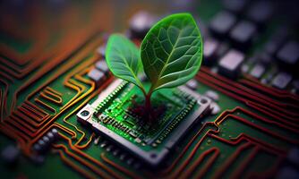 Growing tree on the converging point of acomputer circuit board. Nature with Digital Convergence and Technological Convergence. Green Computing, Green Technology, Green IT, csr, photo