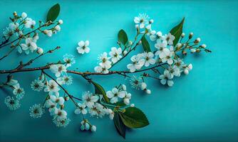 soñador Cereza flores como un natural Bordear azul antecedentes. Cereza flores en pequeño racimos en un Cereza árbol rama en azul antecedentes con espacio de copia. generativo ai foto