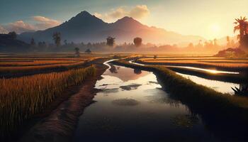 the beauty of the morning panorama with sunrise and rice fields. rice field in countryside. Beautiful gold color sunset at rice field. . photo