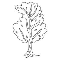 Cute doodle birch tree isolated on white background. Hand drawn forest element. vector