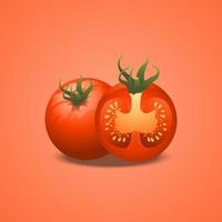 3D tomato isolated, relistic tomatoes vector Illustration