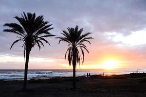 Scenic coastal view photo