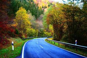 Colorful Autumn Road photo