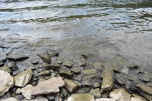 Rhine Shore in Summer photo