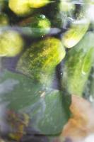 glass jar with a pickled cucumbers. gherkins cucumbers background. photo