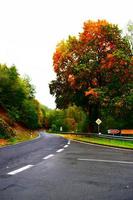 Very Colorful Autumn Road photo