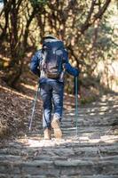 un joven viajero trekking en bosque sendero , Nepal foto