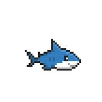 cute shark in pixel art style vector