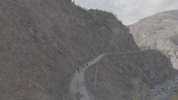 With the driveway surrounded by steep cliffs, the shepherd drives the cows to herd video