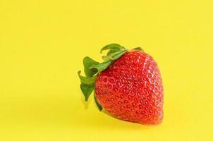 Strawberries on yellow background photo