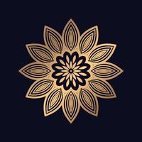 Premium gradient Pattern mandala isolated background vector