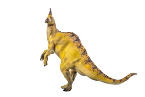 dinosaur , Olorotitan  isolated background png