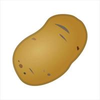 Potato Illustration Vector