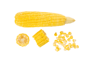 Set of whole and slice corn. Round slice and grain corn png