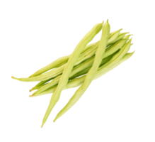 Group of fresh green beans isolated png