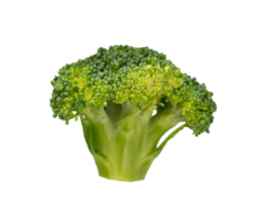 Pieces of fresh broccoli isolated png