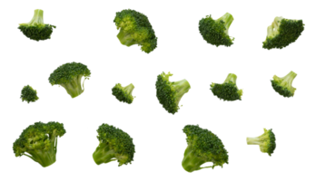 Set of green broccoli pattern png