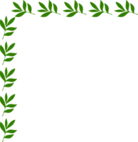 decorative leaf corner frame. png