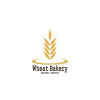 Wheat logo vector icon illustration