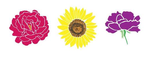 Set of bright flowers. Rose, sunflower, carnation in flat style. The vivid colors and simple floral outline design. For use in digital or print design projects. Vector illustration.