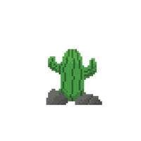 cactus and rock in pixel art style vector