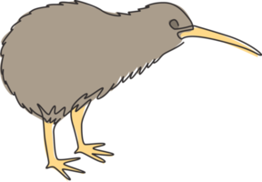 One continuous line drawing of little kiwi bird for city zoo identity. Kiwi mascot concept for typical New Zealand animal. Dynamic single line draw graphic vector design illustration png