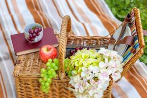 Picnic basket with fruit on a blanket in the garden. photo