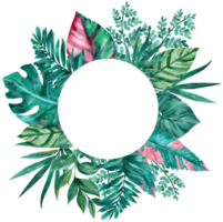 botanisch tropisch Blätter Kreis Rahmen Aquarell png