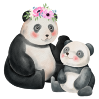 Mom and Baby cute animal watercolor character png