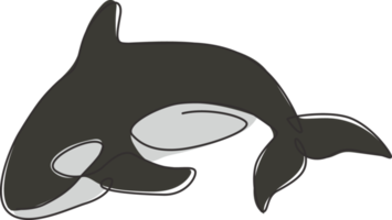 un dibujo de línea continua de una linda orca para la identidad del logotipo marino. concepto de la mascota de la ballena asesina para el icono del espectáculo del mundo marino. Ilustración de vector de diseño de dibujo de línea única moderna png