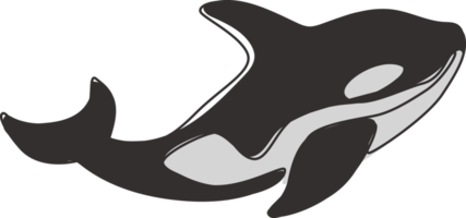 disegno a linea continua di una grande orca adorabile per l'identità del logo aziendale. concetto di mascotte balena killer per l'icona amante delle immersioni subacquee. illustrazione vettoriale di design moderno a una linea di disegno png