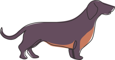 en kontinuerlig linjeteckning av bedårande taxhund för logotypidentitet. renrasig hundmaskotkoncept för stamtavlavänlig husdjursikon. moderna en rad rita design vektorgrafisk illustration png