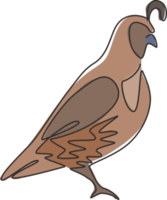 One continuous line drawing of cute California quail for farm logo identity. Highly sociable bird mascot concept for national park icon. Modern single line draw design graphic vector illustration png