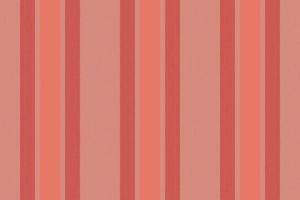 Vertical lines stripe background. Vector stripes pattern seamless fabric texture. Geometric striped line abstract design.