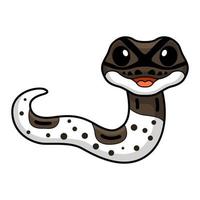 Cute oreo pied ball python cartoon vector