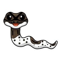 Cute oreo pied ball python cartoon vector