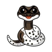 Cute oreo pied ball python cartoon vector