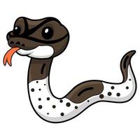 Cute oreo pied ball python cartoon vector