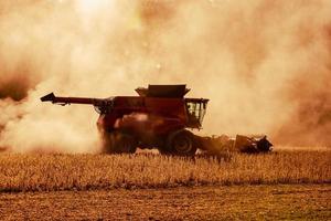 Soy Bean Harvester photo