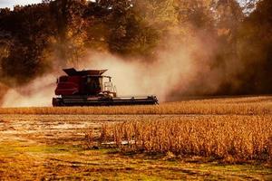 Soy Bean Harvester photo