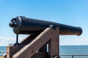 fuerte ganancias en delfín isla foto