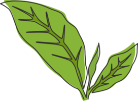 Single continuous line drawing healthy organic tea leaves for plantation logo identity. Fresh tender bud of tea shoot concept for tea leaf icon. Modern one line draw graphic design vector illustration png