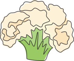 één enkele lijntekening van hele gezonde biologische bloemkool voor de identiteit van het boerderijlogo. vers brassica oleracea concept voor groente icoon. moderne doorlopende lijn tekenen ontwerp vector grafische afbeelding png