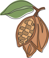 enkele doorlopende lijntekening van hele gezonde biologische cacaoboon voor de identiteit van het plantage-logo. vers cacaoconcept voor chocoladewinkelpictogram. moderne één lijn tekenen ontwerp vector grafische afbeelding png