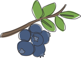 One continuous line drawing of whole healthy organic blueberries for orchard logo identity. Fresh blue berry fruitage concept for fruit garden icon. Modern single line draw design vector illustration png