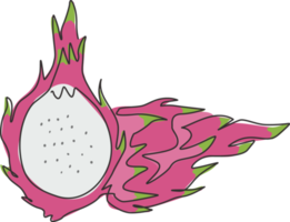 One single line drawing of whole healthy organic dragon fruit for orchard logo identity. Fresh dragonfruit concept for fruit garden icon. Modern continuous line draw design graphic vector illustration png