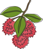 un dibujo de una sola línea de rambutanes orgánicos saludables para la identidad del logotipo de huerto. concepto de fruitage tropical fresca para el icono de jardín de frutas. Ilustración de vector de diseño de dibujo de línea continua moderna png