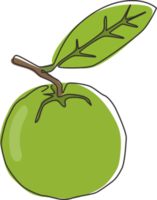 One continuous line drawing whole healthy organic java guava for orchard logo identity. Fresh exotic fruitage concept for fruit garden icon. Modern single line draw design vector graphic illustration png